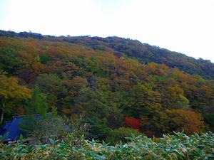 2006 10月帰国 018.jpg